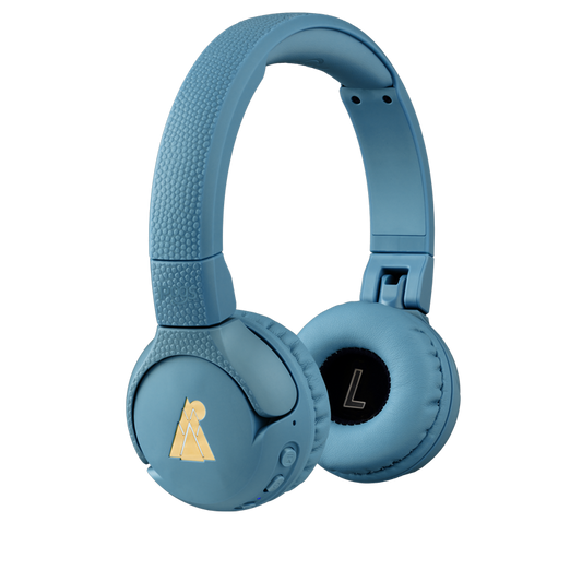 The Gecko 2 - rBlue